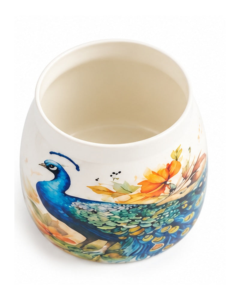 Inside view of a peacock print jar