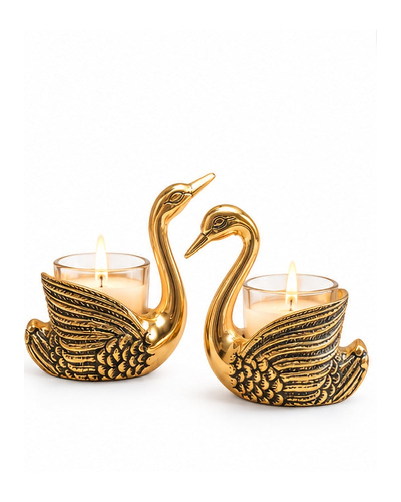 Angled view of the golden swan pair