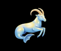 Capricorn
