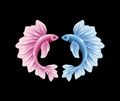 Pisces