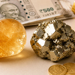 Wealth Collection